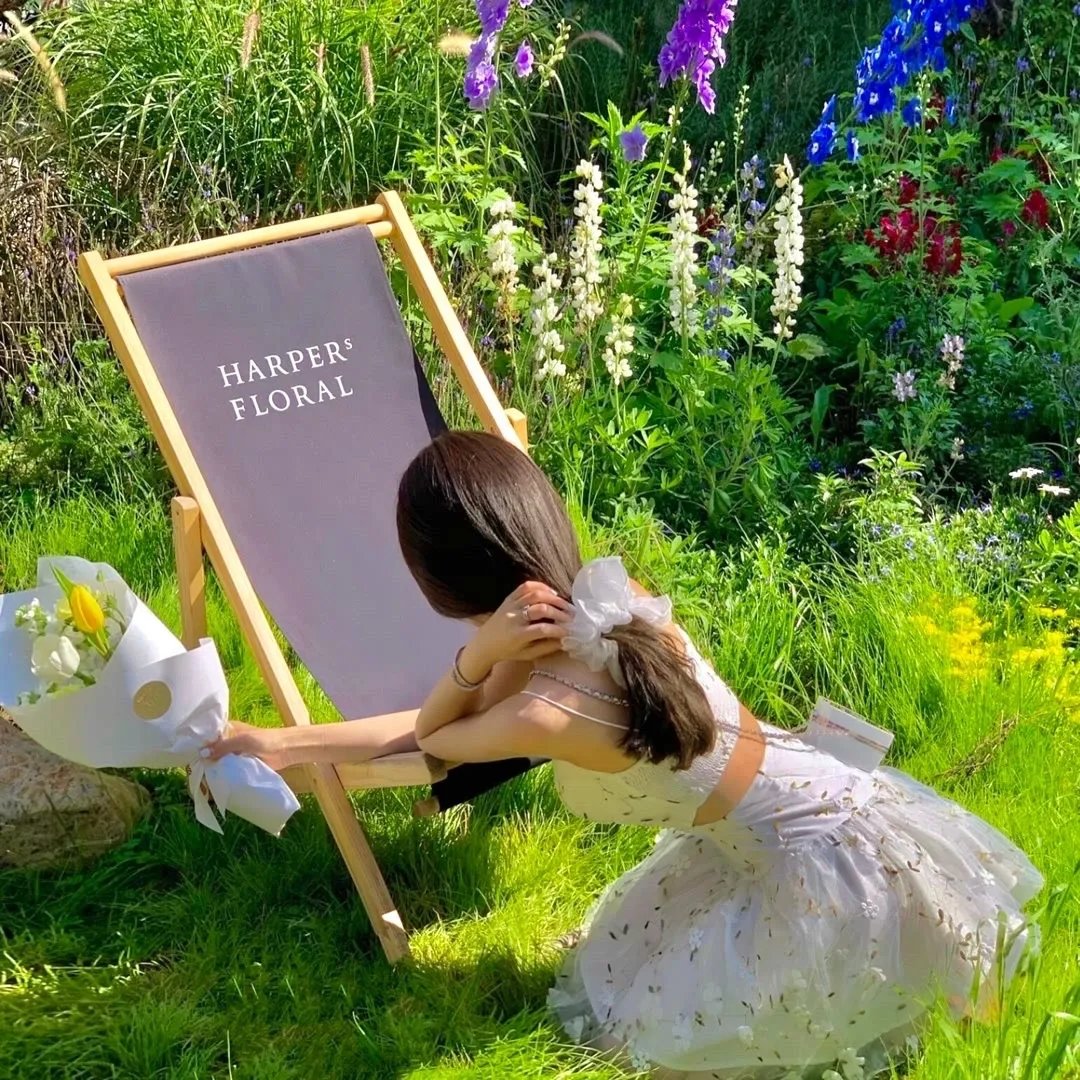 加利亚遇上加利亚